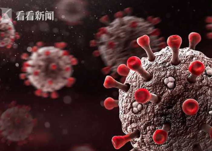疫情病毒属于什么病毒，疫情病毒是
