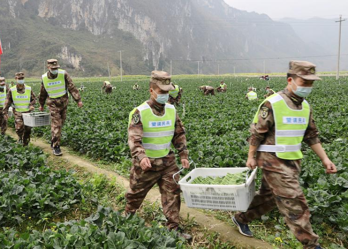 贵州疫情最新情况最新消息规定，贵州疫情最新情况发布