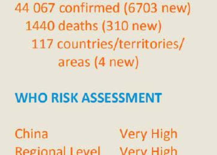 全球疫情最新动数据，全球疫情最新数据实时动态