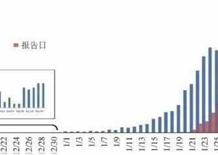疫情放开后死亡人数是多少，中国疫情放开了吗