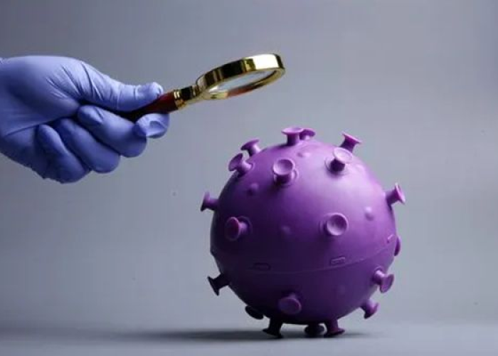 新冠病毒疫情是哪一年开始的?，新冠肺炎疫情是哪一年开始的